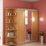Шкафы-купе284